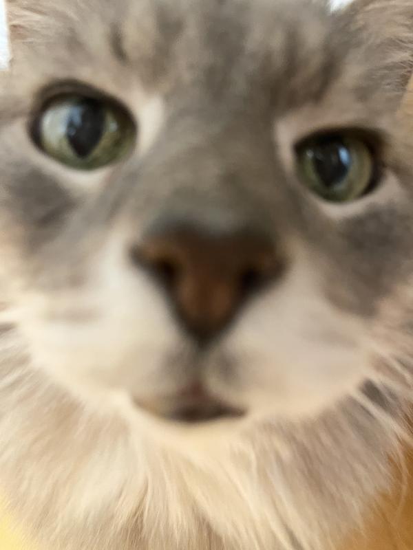 Love me!  …or else.