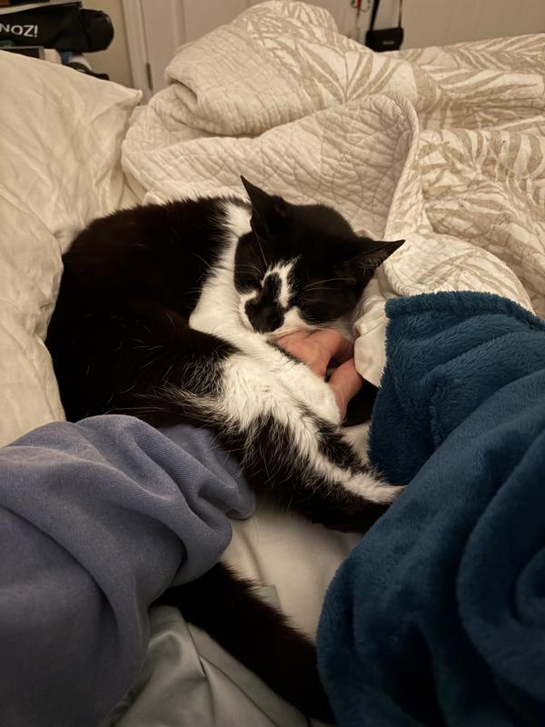 Snuggle time