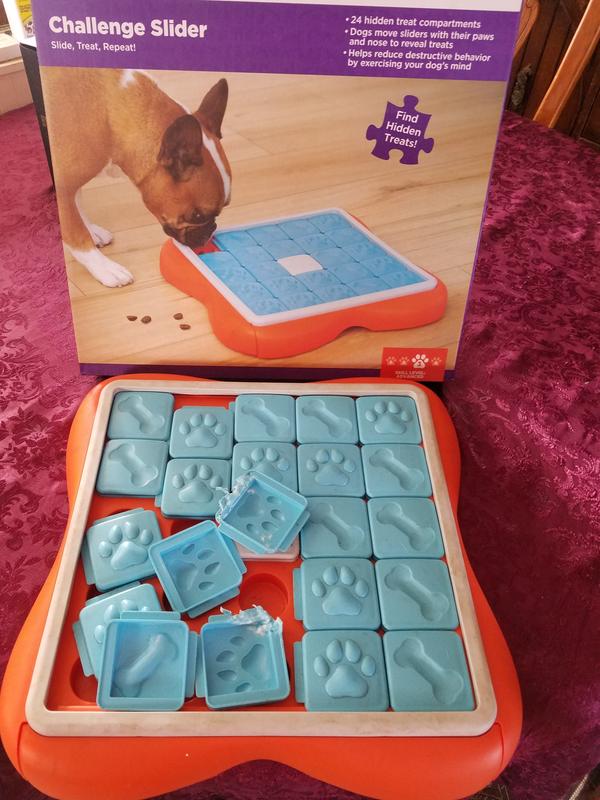 Challenge Slider Interactive Treat Puzzle Dog Toy, Multi