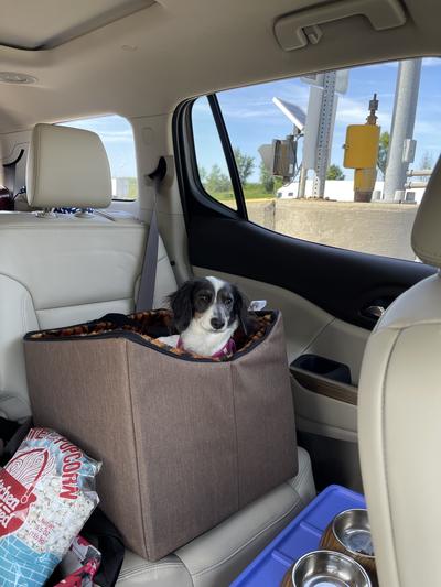 Dot on her 1st road trip