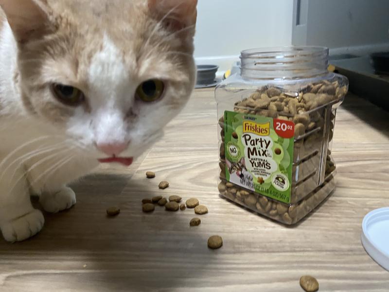 Best time is snack time!