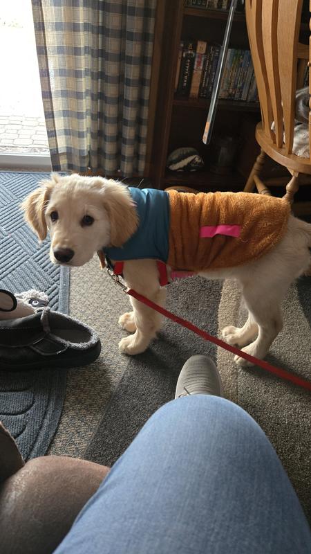 Frisco Medium Weight Retro Colorblock Mixed Media Dog & Cat Coat