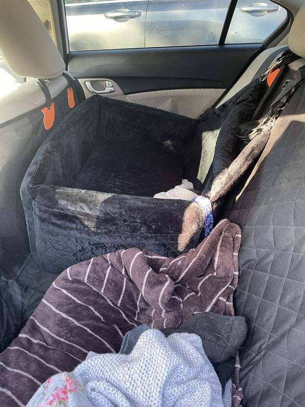 Backseat of a Honda civic for size reference
