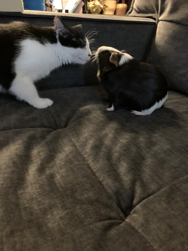 They really like each other!