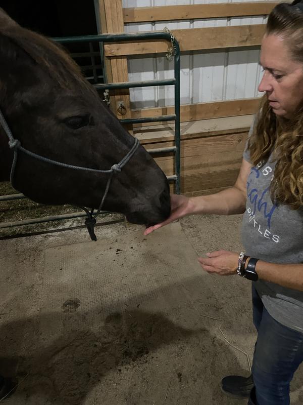 My horse loves these treat!