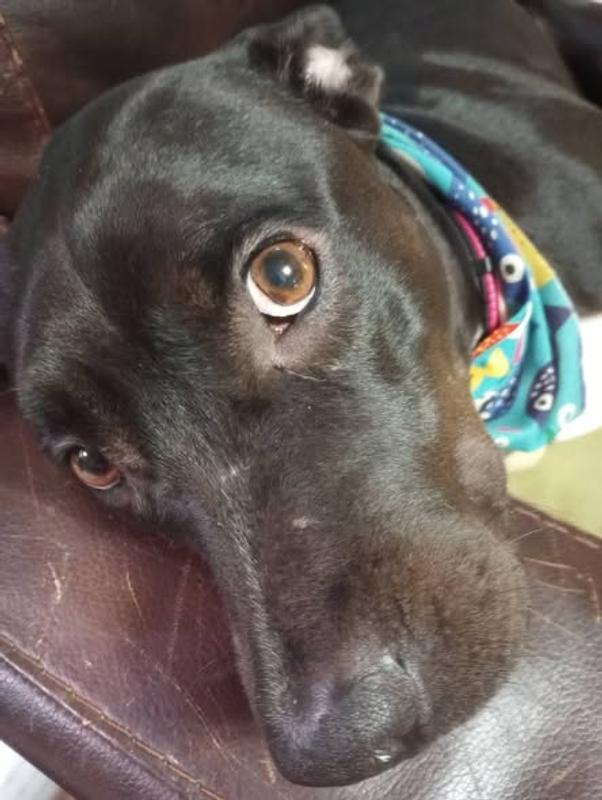 Relaxed and clean :)