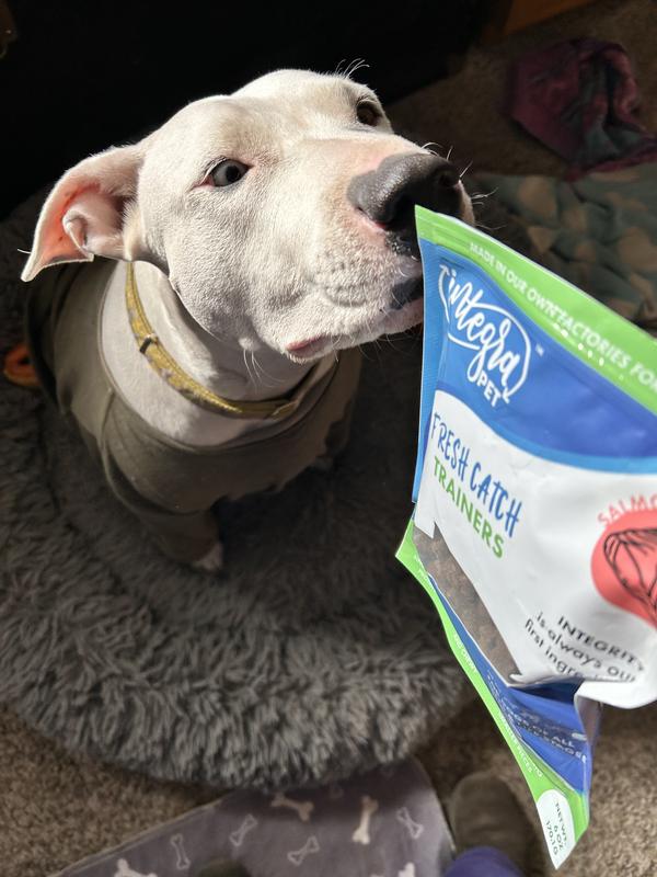 I know there's something good in there. Love, Mariposa Dog