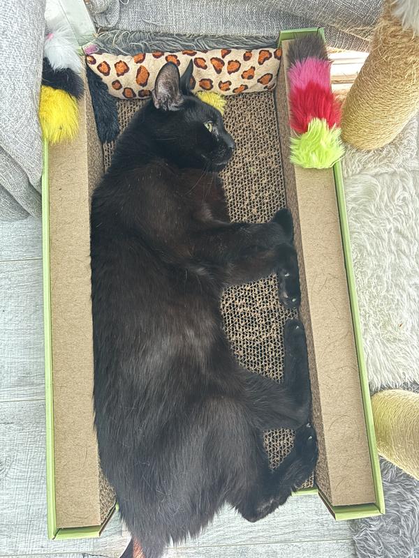 Comfy
