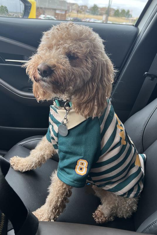 Disney Mickey Mouse Rugby Dog & Cat Polo