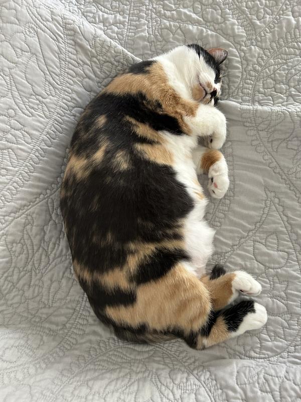 Too much food -nap time