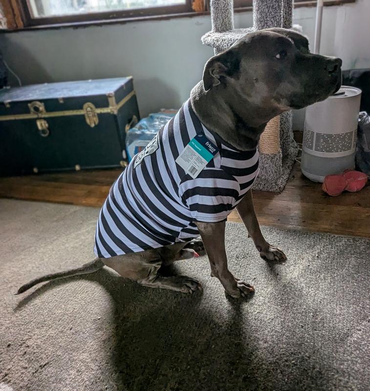 XXL
