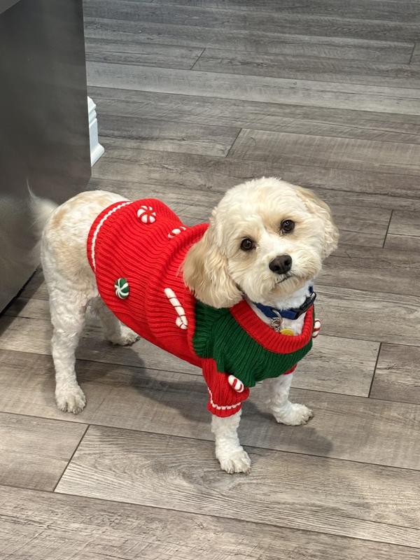 Styling in her Christmas sweater