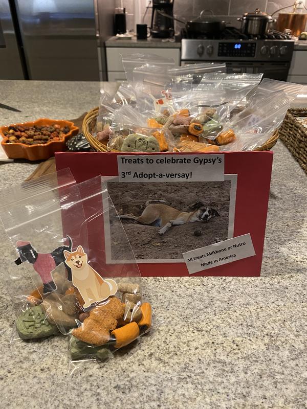 Adopt-a-versary Treat Bags