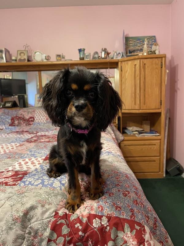 Kate rarely poses for a picture.