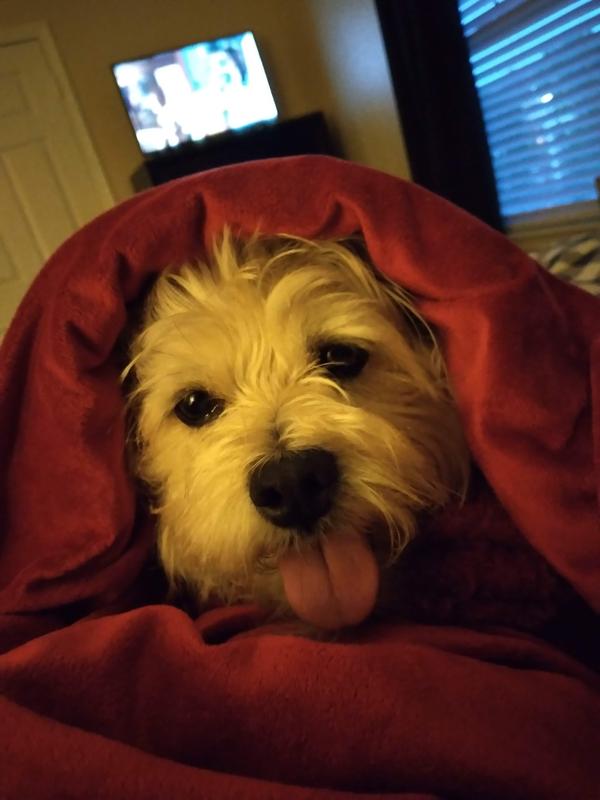 I love soft blankets