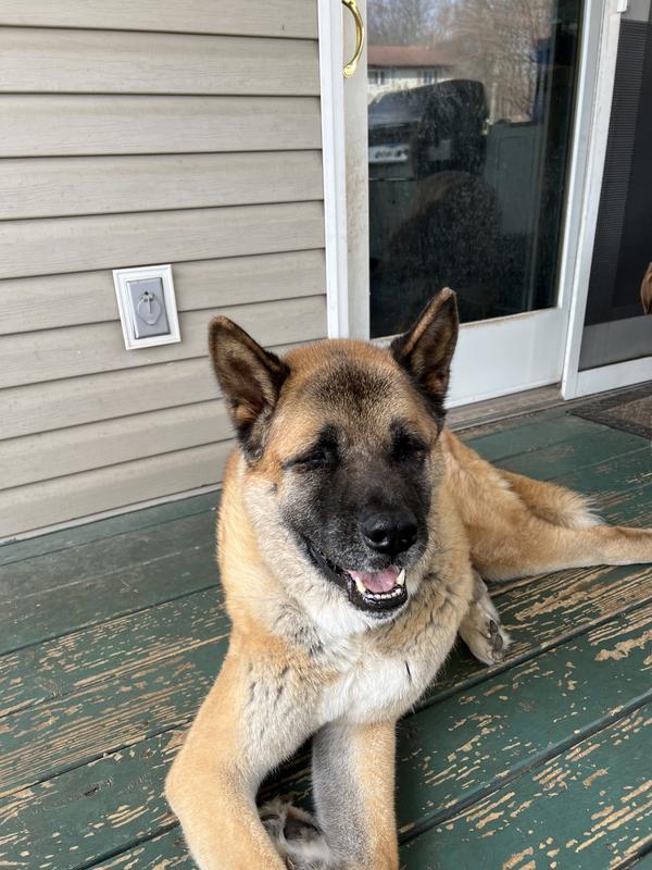 mall lump on the left side of his face