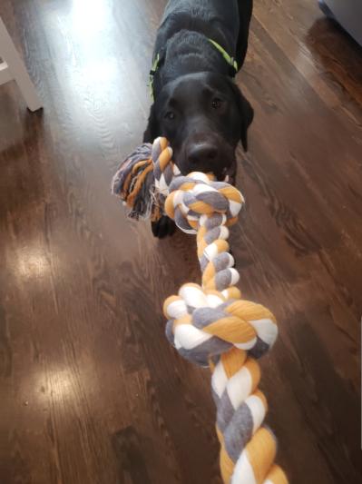 Ned loves his "chewy"