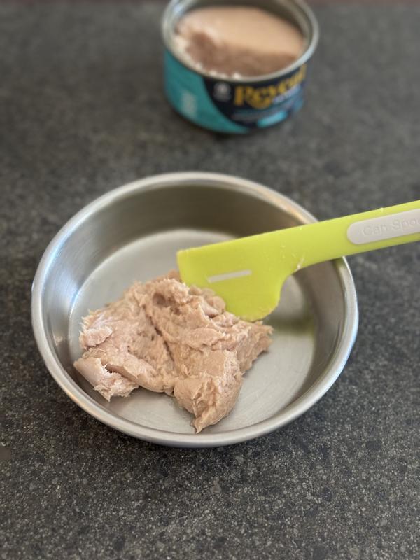 Reveal pate tuna fillet recipe it’s creamy and soft
