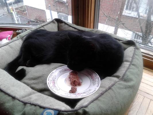 Breakfast in Bed