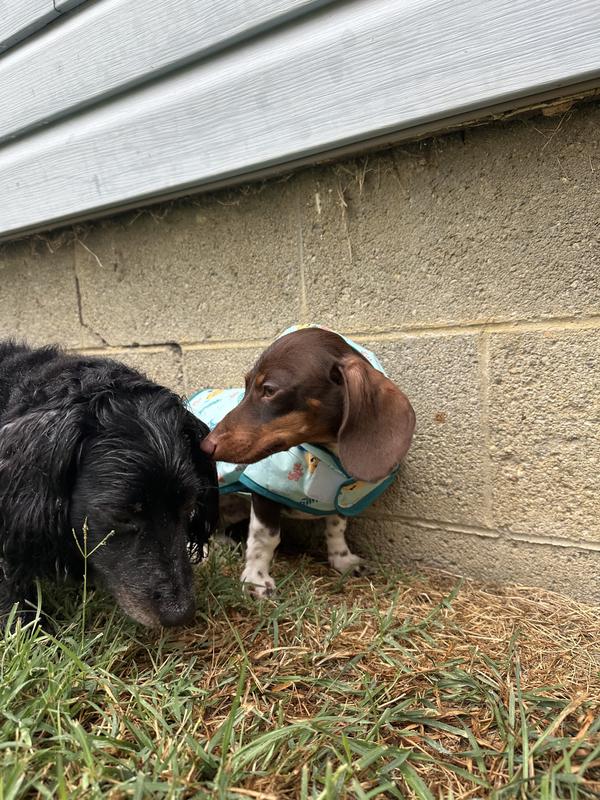 Size Comparison to his sister