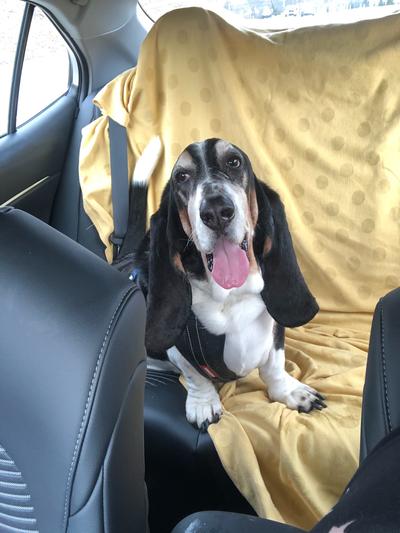 Sir Winston