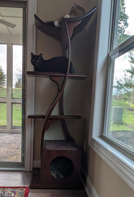 Cat tree clearance lotus