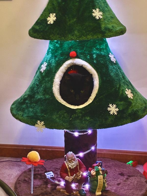 Merry Christmas 🎄