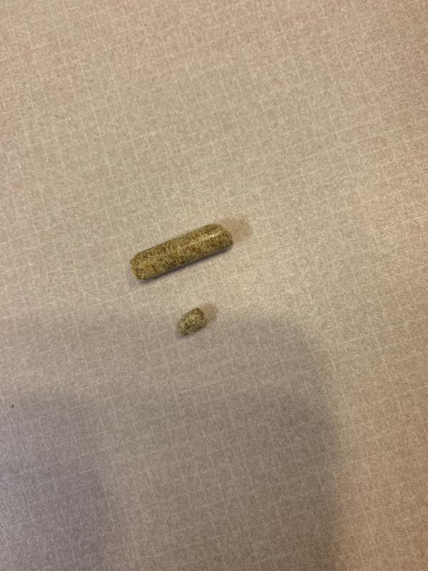 FRISCO Pine Pellet Unscented NonClumping Wood Cat Litter, 40lb bag