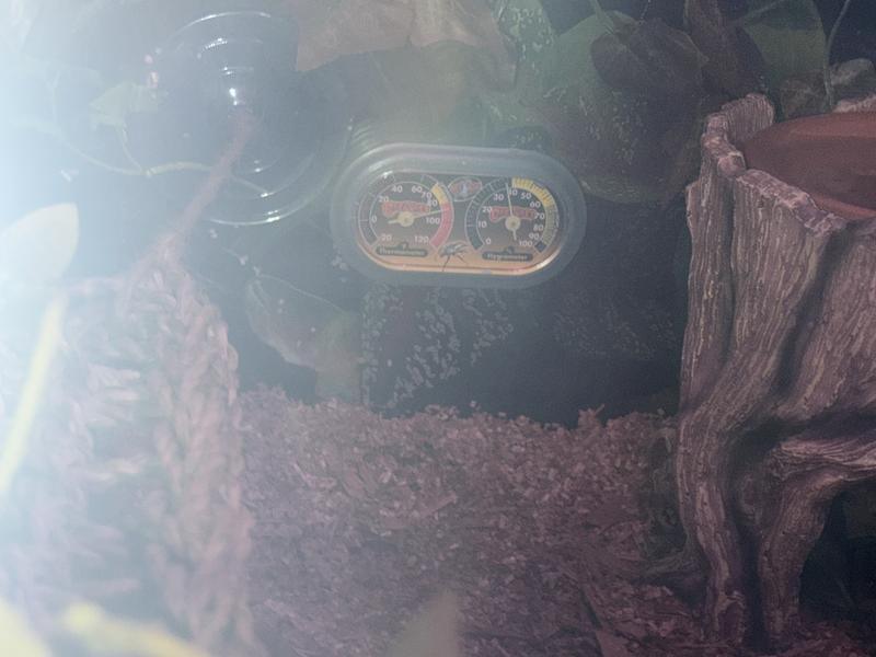 Just love it really cool