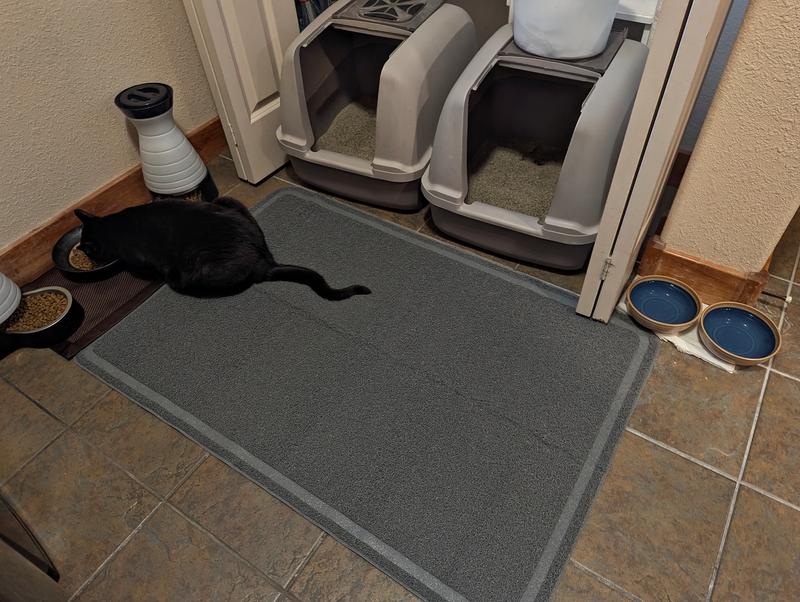 These usually do a good job of  catching litter.