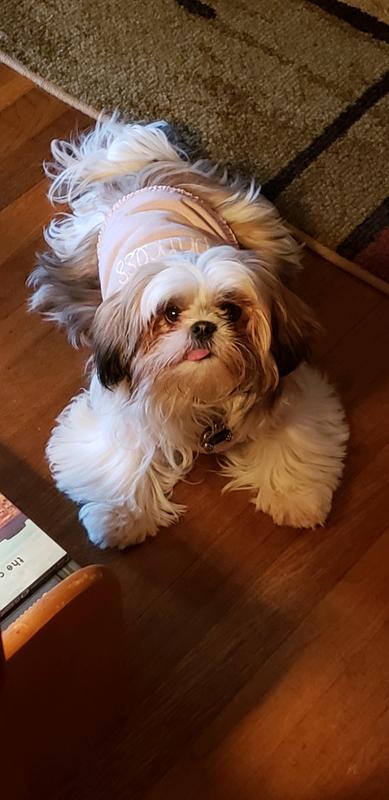 Trazodone (Generic) Tablets