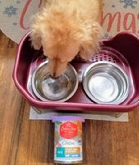 Good to the last lick!