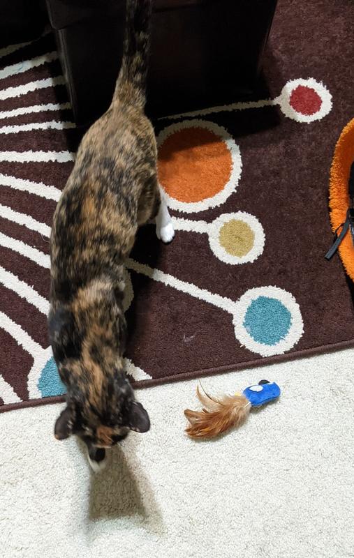 She's not overly rough on the toy, so I'm not sure why it only half chirps or doesn't chirp at all.