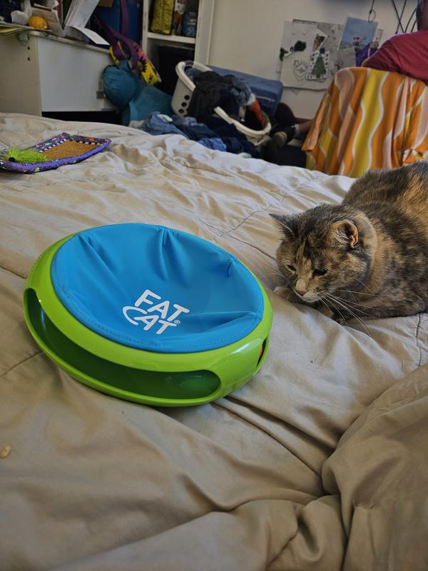 Expensive cat toys online