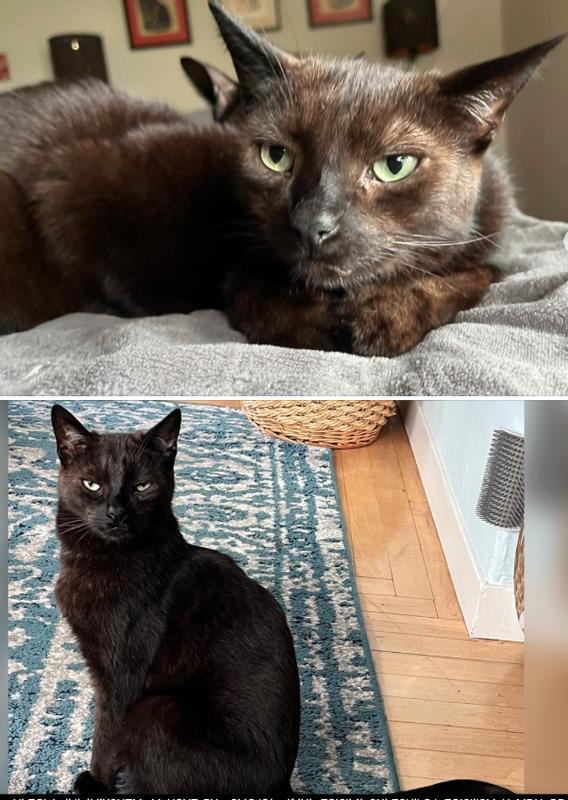 Melanin Magic! Baldwin in January 2024 and 8 weeks later!