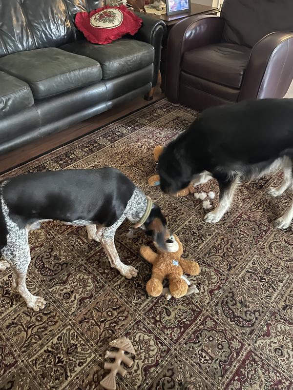 Initial wear and tear but a week later still intact and enjoyed