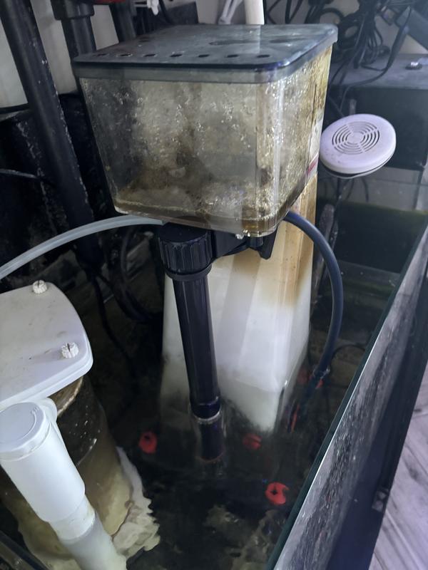 skimmer in sump