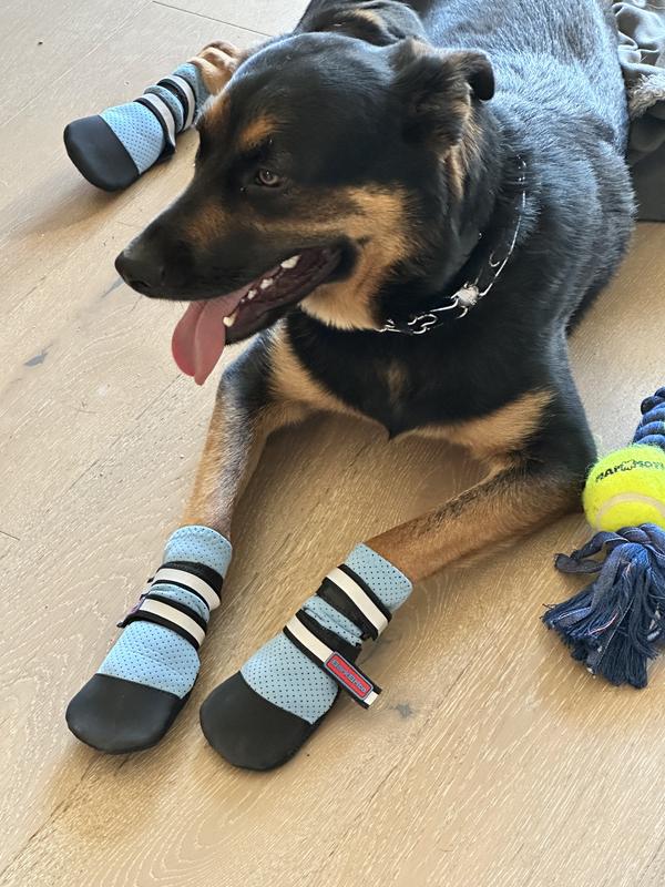 BARK BRITE Lightweight Neoprene Paw Protector Dog Boots, Blue, X