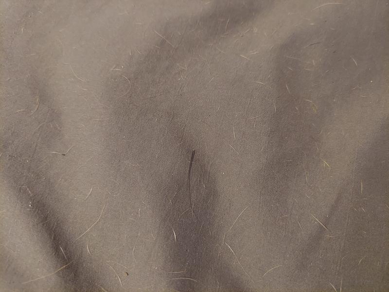 Before of my sheet