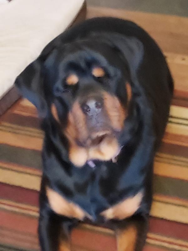 I can't help it, but..