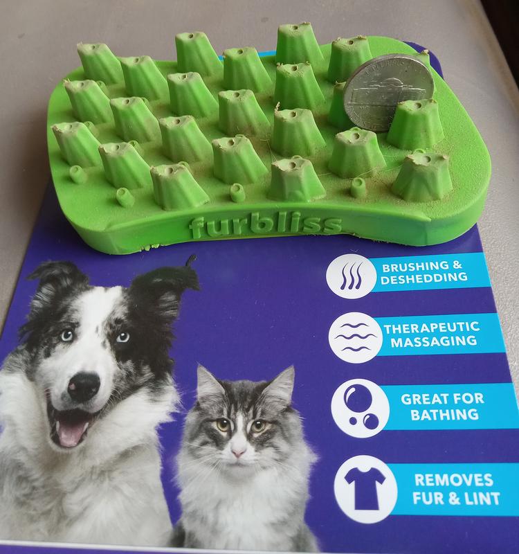 Long hair dog on the picture and the hight of the plastic spikes