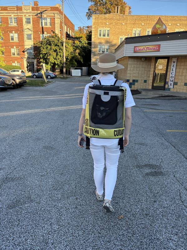 The bag worked perfectly with our Halloween costume!