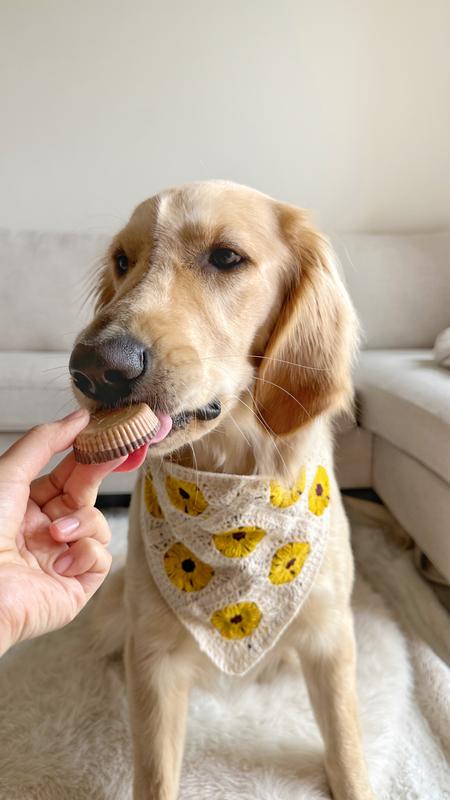 Luffy is enjoying the peanut butter cup