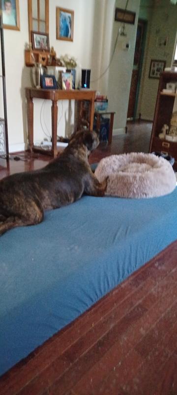 Real mattresses are the way to go.