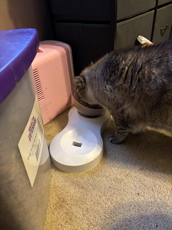 Ivy trying out the food.