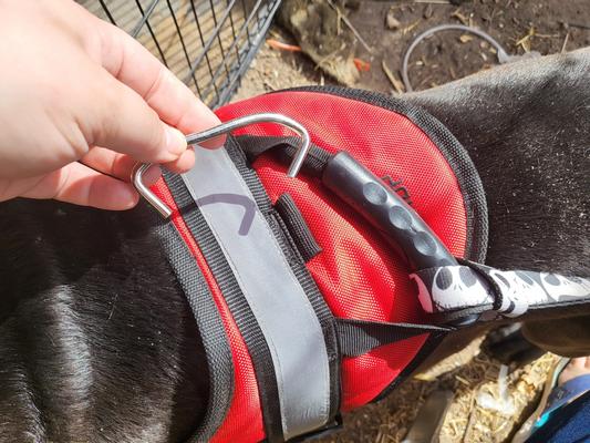 Hdp dog clearance harness