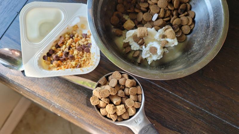 Combined with a dollop of my husband's homemade yogurt, it looks a bit like one of my yogurt flip cups. Puppy and Mom get to match today, haha.