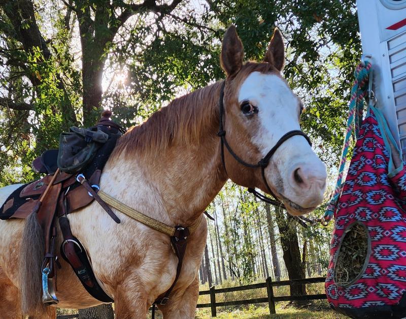 She has a small scar, but her eye is still intact