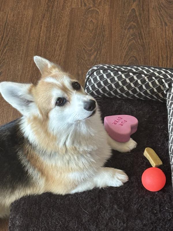 Wasn't really interested