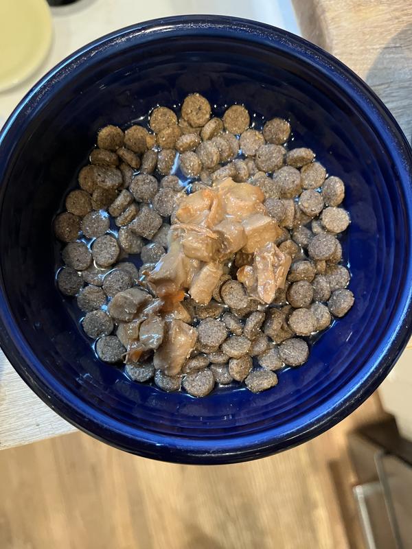 Canned food addition to dry kibble